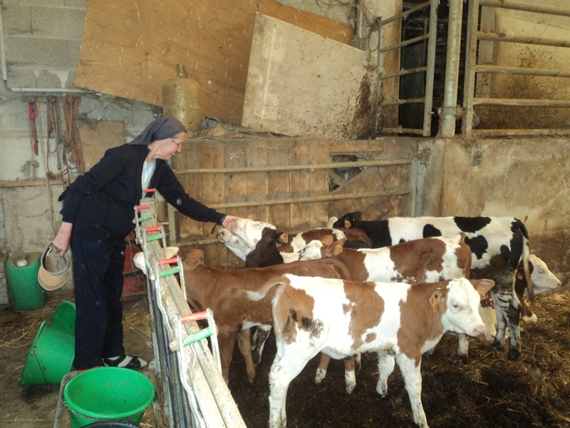 Un peu de tendresse ;-)