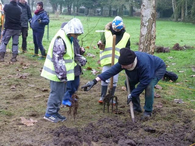 1 janvier plantation