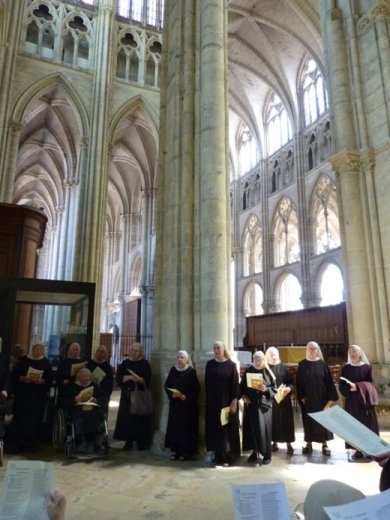 pele_a_meaux_32_20160902_1381832684